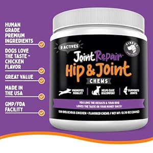 Advanced Joint Repair Hip  Joint Health Supplement for Dogs  Relieves Arthritis Pain  Inflammation Improve Mobility Extra Strength Soft Chew Treats with Glucosamine Chondroitin  Msm  Cucciolini Doodles Advanced joint repair hip  joint health supplement for dogs  relieves arthritis pain  inflammation improve mobility extra strength soft chew treats with glucosamine chondroitin  msm   cucciolini doodles