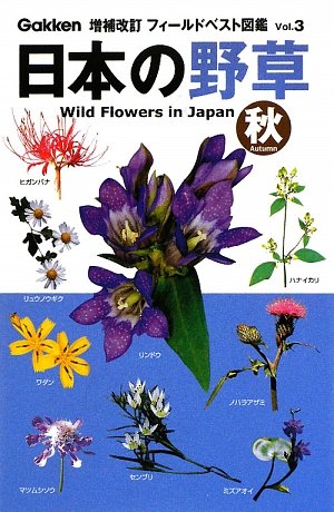 日本の野草 秋 フィールドベスト図鑑 矢野 亮 矢野 亮 本 通販 Amazon