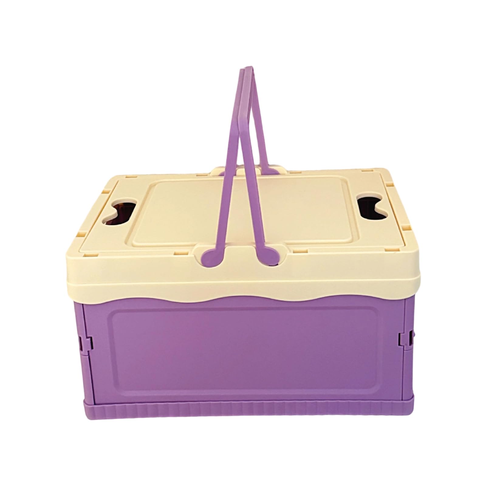 Kaeltsyn Portable Folding Storage Box for Camping Gear and Home Organization Easy to Carry Household Organization Case Multipurpose Organiser