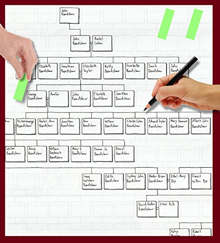 My History Family tree working chart (1 metre 14 generation)