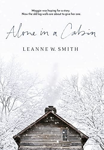 Alone in a Cabin view 2