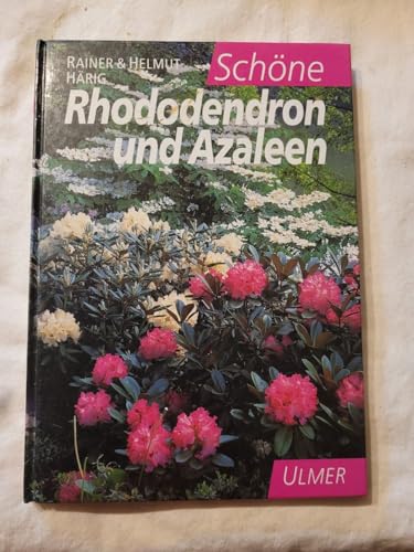 Schöne Rhododendren und Azaleen