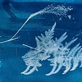 Filrefly Entertainment AB