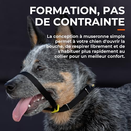 Canny Collar Trainingshalfter | Anti-Zughalsband | einfach zu bedienen | Trainieren Sie Ihren Hund, Nicht an der Leine zu ziehen | bequem, weich, sicher und effektiv