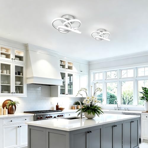 Image of CANEOE Modern Led Ceiling Light Fixture, 6000K Small Hallway Ceiling Light, Sliver Close to Ceiling Lights for Hallway Bedroom Bathroom Entryway Balcony Stair Curved Design Ceiling Lamp (Sliver)