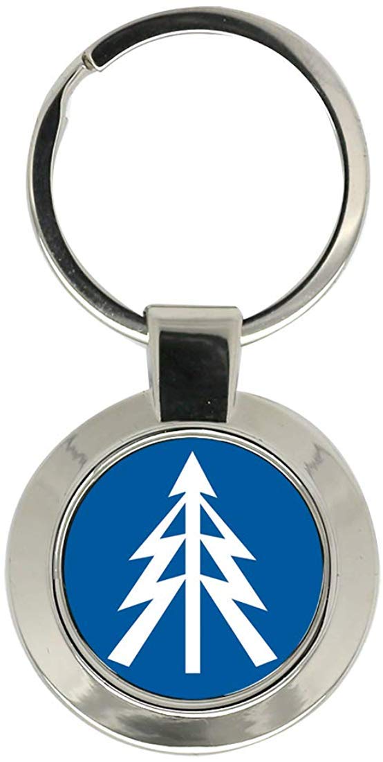 Giftshop Uk Unisex Silver Coloured Metal 1St Queen’s Dragoon Guards Flash, British Army Key Ring