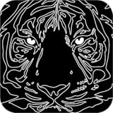 Dot to Dot Puzzles for adults