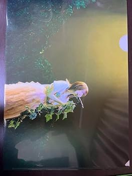 Amazon.co.jp: 上田麗奈 クリアファイルセット : おもちゃ