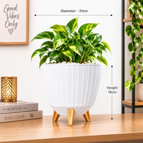 Image of Xmart India 7 Inch Decorative Plant Pot for Indoor & Outdoor Plants | Planter Pot with Stand & Legs |Ribbed Flower Pot for Home, Balcony, Garden, Living Room & Office | Plant Container (3, Ivory)