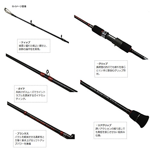 Amazon.co.jp: カンジインターナショナル(Kanji International