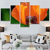 SIGNWIN 5 Panel Canvas Wall Art Flora Snapshot for Home Decorations Ready to Hang - 60
