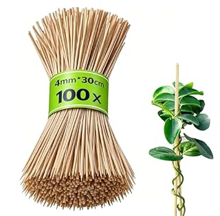 JOVYTH tuteurs bambou 30 cm : lot de 100 semis