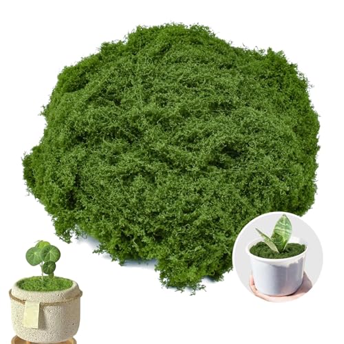 FOEEORT 200g Artificial Moss, Artificial Moss for Indoor Plant Pots, Faux Mos for Crafts DIY Wreath Model Making Home Decoration, for Christmas and Easter Decorations, Landscaping Floristry and More