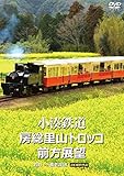 �����S�� �[�����R�g���b�R �O���W�] �܈� �� �{�V�k�J 4K�B�e��i