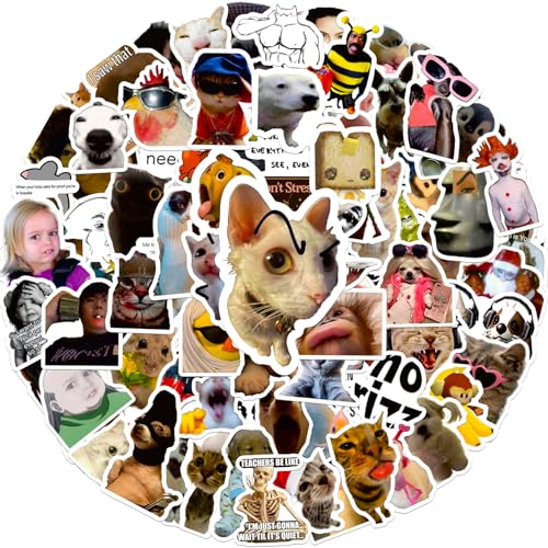 100 Pieces Funny Stickers Cute Meme Stickers Waterproof Vinyl Gifts for Phone Water Bottle Luggage Laptop Adults Teens