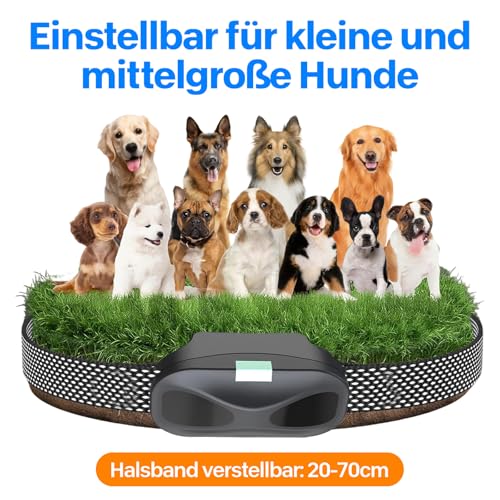 Freundliches Hundehalsband,Tierfreundliches,Halsband for Hunde,Bequem und einfach zu bedienen,Funktioniert bei Allen Hundetypen (Schwarz)