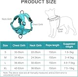 Air-Mesh Atmungsaktiv Brustgeschirr, Hundegeschirr mit Leine, Weich Einstellbar Reflektierend Anti Zug Hundegeschirr, Verstellbare Welpengeschirr für mittelgroße Kleine Grosse Hunde (XL)