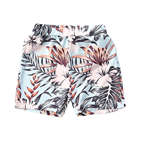 Toddler Baby Boy Swim Trucks Shorts Bathing Suits Swimwear Swimsuit Beachwear Sports Running Board Shorts (B-White, 2-3T)