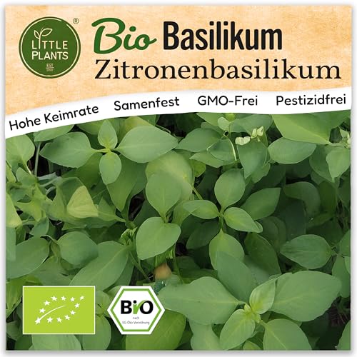 Little Plants BIO Basilikum Samen 200 Basilikumsamen Zitronenbasilikum Kräutersamen Samenfest für Kräutergarten Kräuter Samen Küchenkräuter für Küche, Balkon und Garten
