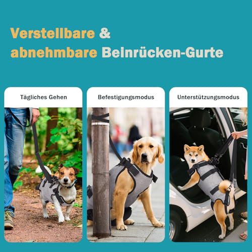 Ownpets Tragehilfe Geschirr, Hebegeschirr für kleine Hunde, Tragtuch für kleine Haustier, Ganzkörpergeschirr, Hunde Tragetasche mit Schultergurt, Weich, Wasserdicht, Einstellbar, Grau, L