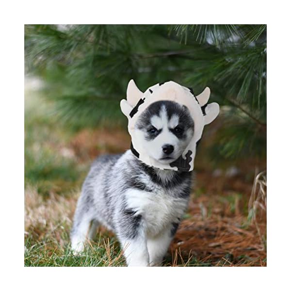 Balacoo puppy hoodie dog cow hat, cow shaped plush pet cosplay hat cow headgear lovely pet dog costume pet supplies puppy clothes - image 3