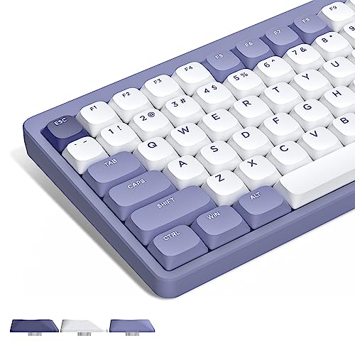 かーくん ロープロ版 roBa オプション 51L9ONQLOAL.jpg