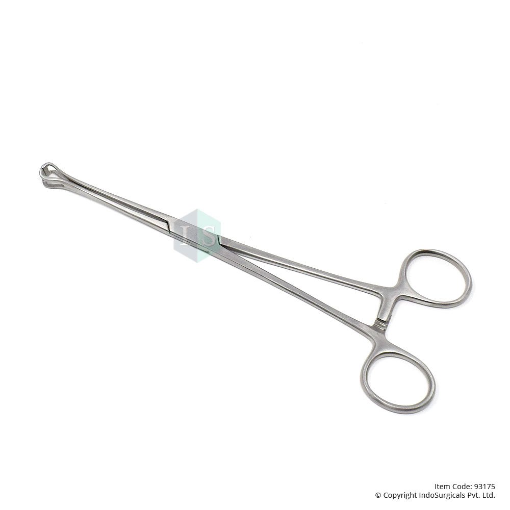 IS IndoSurgicals Deluxe Quality Babcock Forceps (10") (B071WYVYZG) Amazon Price History, Amazon Price Tracker