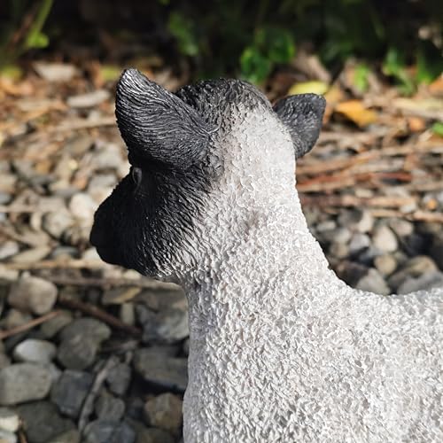Agneau couché blanc et noir Vivid Arts figurine de collection - 5