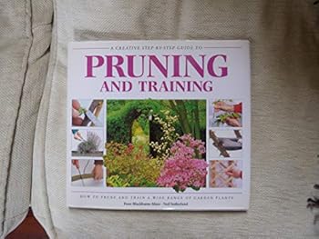 Hardcover Pruning and Training (A Creative Step-by-step Guid Book