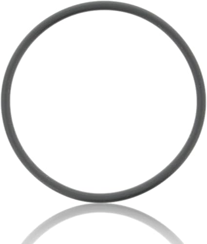 Miniatura 3 de R0449200 Junta tórica para bomba de piscina Zodiac Jandy PlusHP PHPF, PHPM, MaxHP MHPM, WFTR O-244 (juego de 2)