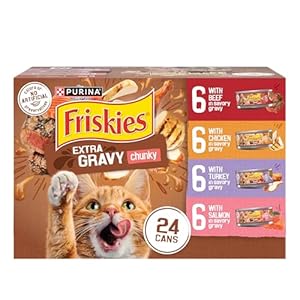Purina Friskies Extra Gravy Wet Cat Food Chunky 24ct Variety Pack (With Chicken, Turkey, Salmon, Beef) – (Pack of 24) 5.5 oz. Cans