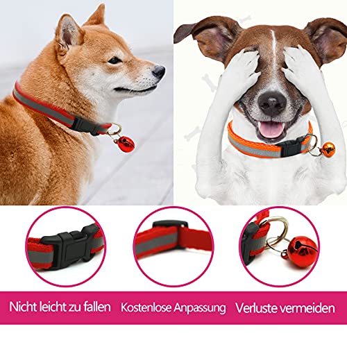 Zemat Collare catarifrangente per animali in pelle...