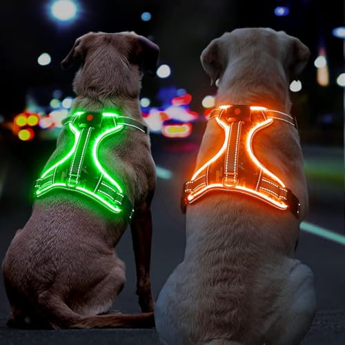 led hundegeschirr