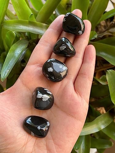 Image of GAF TREASURES 1 /2 LB Snowflake Obsidian Tumbled Stones, Polished Natural Snowflake Obsidian Gemstone, Snowflake Obsidian Healing Crystals (Snowflake Obsidian)