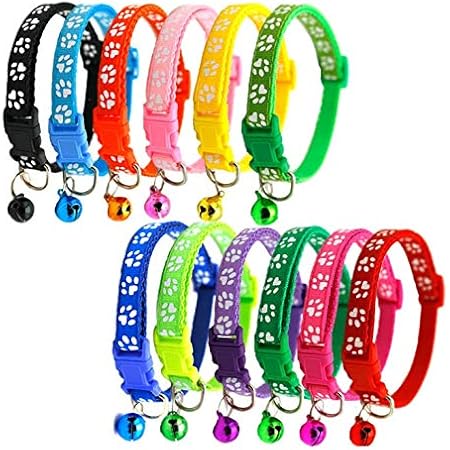 kitten whelping collars