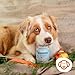 GRAU - das Original - Hokamix Vitality Booster, 1er Pack (1 x 150 g), Ergänzungsfuttermittel für Hunde