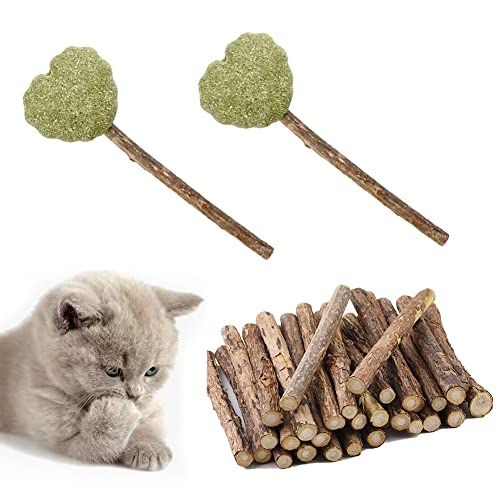 OSDUE 32 Stück Katzenminze Sticks, Matatabi-Kausticks, Katzenminze