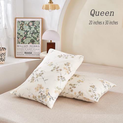 Image of ECOCOTT 2 Pack Pillowcase Queen Size with Vintage Wash Painting Floral Pillow Cases Set, 100% Cotton Queen Pillow Covers Envelope Closure (Queen, 20 inchx30 inch)