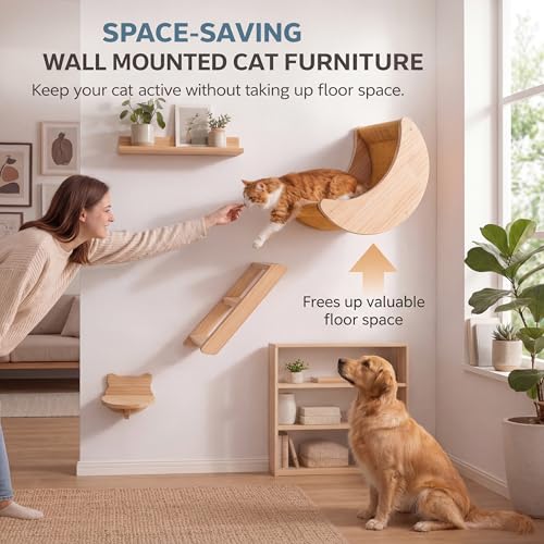 Juego de estantes de pared para gatos de madera sólida miniatura 2