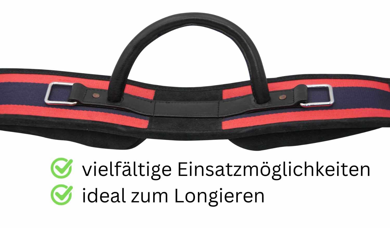AMKA Longiergurt Reitgurt mit Handgriff aus Leder mit 6 Ringen 2 Ringe für Steigbügelriemen