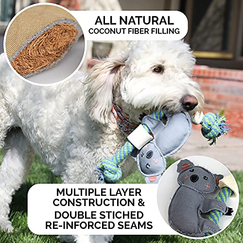 Pet Zone Choy All Natural Rope And Water Buffalo Bone Dog Chew And Dog Toys (Eco-Friendly Interactive Dog Toys, Dog Chew Toy, Dog Bone, Dog Rope Toy, And Dog Tug Toy In One) (Full Unit, Koala) #TOP4