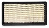 Air Filter AF25256 for Fleetguard