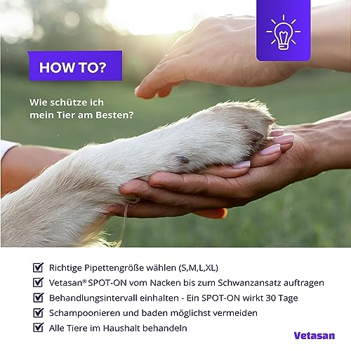 Vetasan Spot-ON für Hunde 10-20kg (M) | gegen Flöhe & Zecken | 3 Monate Schutz | HOCHWIRKSAM | Zeckenmittel für Hunde Zeckenschutz | Hundeflohmittel