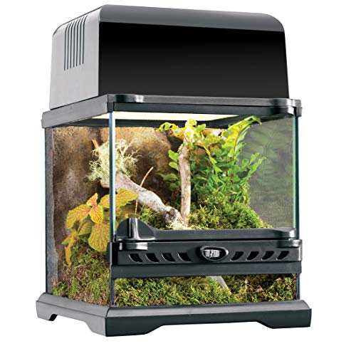 support lampe terrarium - jardiland