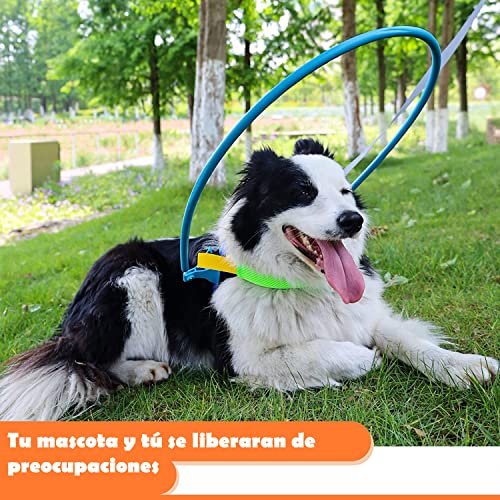 Mascotas, Imagen adicional