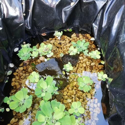 Bâche pliable pour bassin noire 7x8m pour aménagements extérieurs - 6