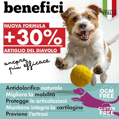 MyPetPrime chondroprotector voor honden | collageen voor honden | 120 tabletten | ontstekingsremmende honden | hoge concentratie duivelsklauw +30% | glucosamine en chondroïtine natuurlijk collageen - Afbeelding 3