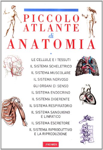 Il piccolo atlante di anatomia. Ediz. illustrata Il piccolo atlante di anatomia. Ediz. illustrata