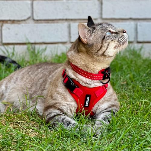 Image of Voyager Escape-Proof Step-in Lock Cat Harness & 5ft Neoprene-Handle Leash Set All-Weather Mesh with Reflective Stitching for Small to Large Cats by Best Pet Supplies, Red, XS
