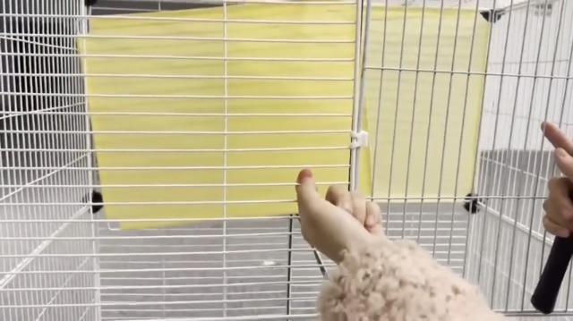 Amazon.co.jp: Pertice 猫 ケージ トイレ付き 3段 キャスター付き